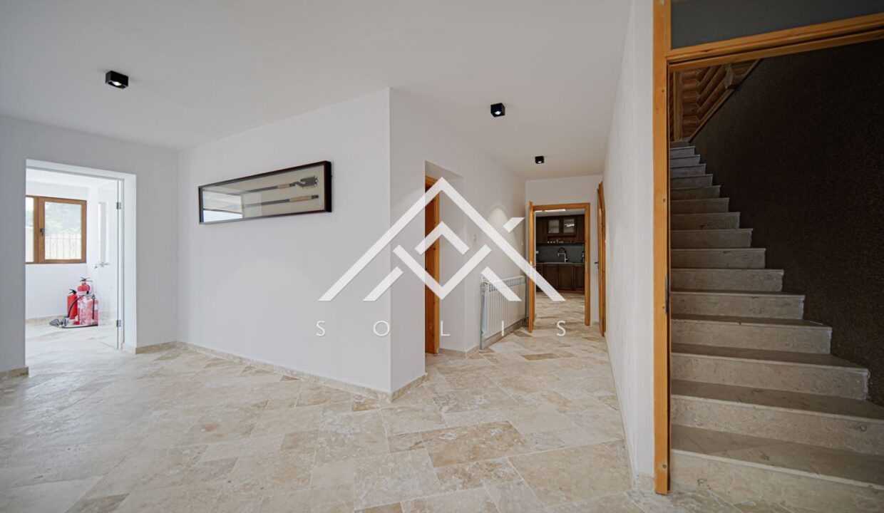 Роскошное шалепурваллиабэутилусвьюхоумБатакЦиговчарк-22